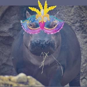 Meet your Posher, Malinda